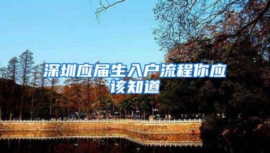 深圳应届生入户流程你应该知道