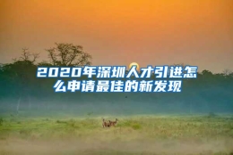 2020年深圳人才引进怎么申请最佳的新发现