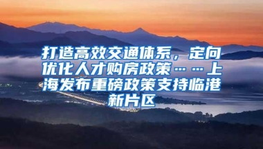 打造高效交通体系，定向优化人才购房政策……上海发布重磅政策支持临港新片区