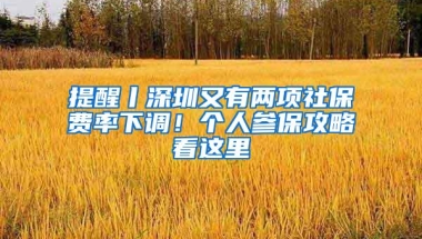 提醒丨深圳又有两项社保费率下调！个人参保攻略看这里