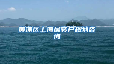 黄浦区上海居转户规划咨询