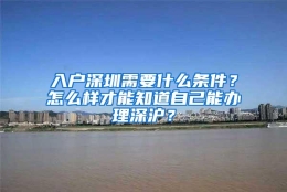 入户深圳需要什么条件？怎么样才能知道自己能办理深沪？