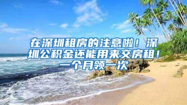 在深圳租房的注意啦！深圳公积金还能用来交房租！一个月领一次