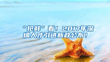 “抢鲜”看！2017年深圳人才引进新政公布！